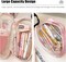 Cute Pencil Case for Girls: Pu Leather Pencil Box Pouch with Zipper, Large Capacity Stationery Storage Organiser for School Supplies